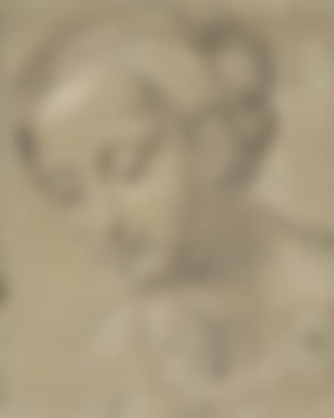 Bust portrait of a woman (preview)