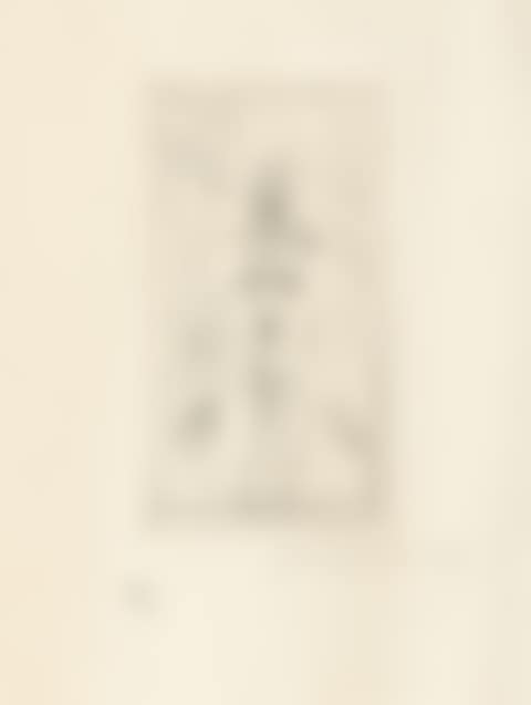 Female nude from the front as half figure (preview)