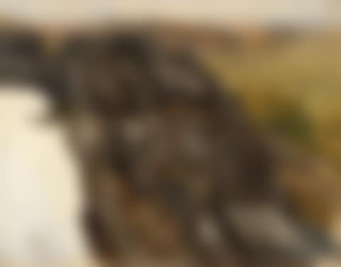 View over the rocky slope in Saxon Switzerland (?) (preview)