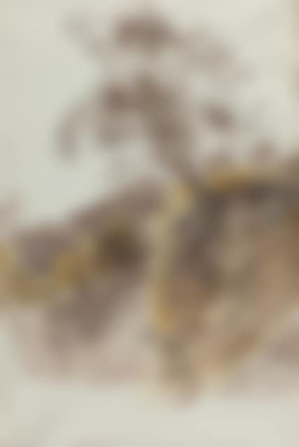 Landscape at Olevano (preview)