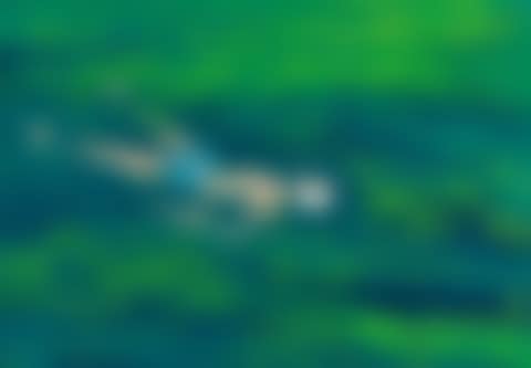 Swimmers (preview)