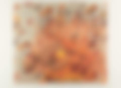 Gallery of ancestral portraits (preview)