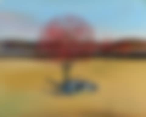 Flame Trees, Horse"s Skull, Black River (preview)