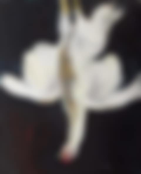 Big Chook; (preview)