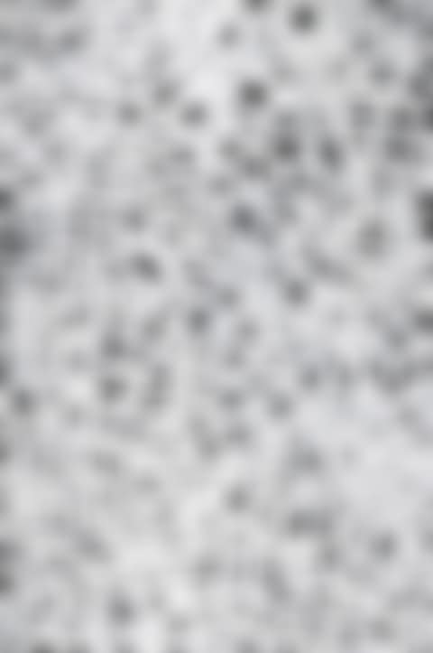 Bush Yam Dreaming (preview)