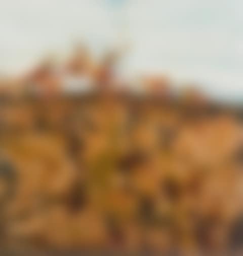 Rydal - Grevilleas and Honeyeaters (preview)