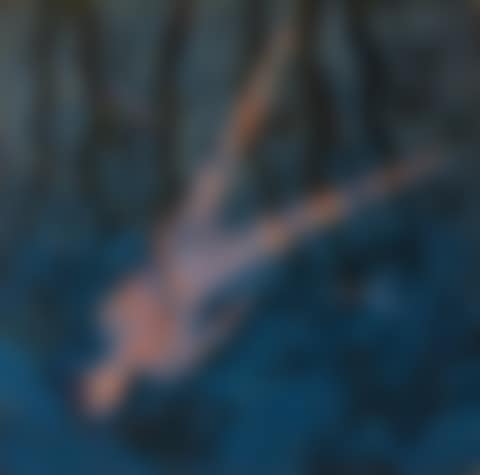 The Joy of Fish - In Waiting (preview)