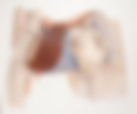Surveyor"s Saddle III (preview)