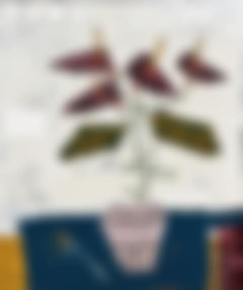 Still Life (preview)