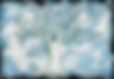 The Bluebird Cloth (preview)