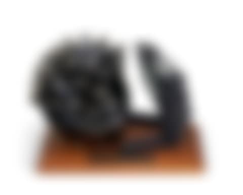 HELMETUM DISPLASIUS TACTILLIUS MOMENTOS (preview)