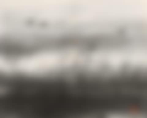 WILD GOOSE (preview)
