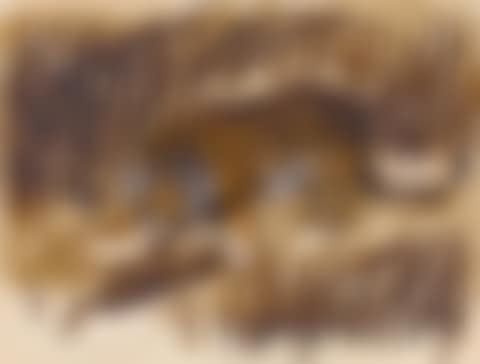 TIGER (preview)