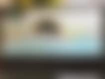 Untitled  (preview)