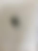 Faces intertwined (preview)