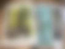 Four posters (torn at the BUFFET) (preview)