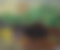 Landscape (preview)