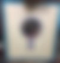 "Mirror" (preview)