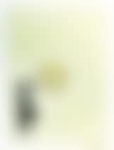 Post Modern Vandal Girl with heart shaped float (Gold edition) (preview)