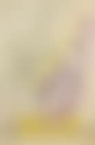 Cumhuruyet Halk PartisiÂ (preview)