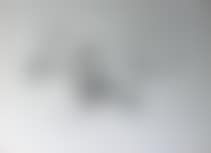 UNTITLED (preview)