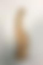 Venus of Milo (preview)