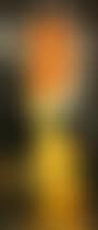 "Orange decal" (preview)