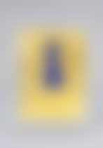 “Little blue Venus” (preview)
