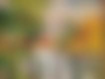"The lake in the Bois de Boulogne" (preview)