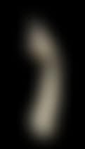 Plaster cast of Salvador DALI"s left arm (preview)