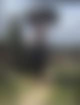 Peasant woman carrying hay (preview)