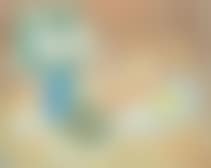 Still life (preview)