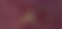 Abstraction II (preview)