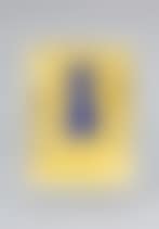 Little blue Venus (preview)