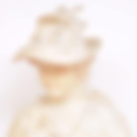 Bust of a girl with hat and dove (preview)