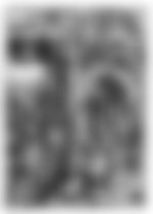The Adoration of the Magi (preview)
