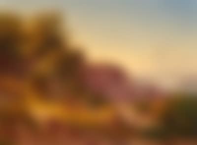 Blick auf Salzburg vom Mönchsberg aus (preview)