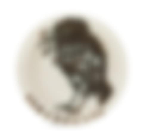 "Oiseau au Ver (A.R. 172)" (preview)