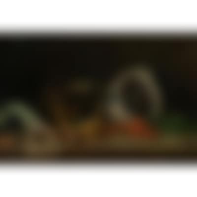 Kitchen still life (preview)