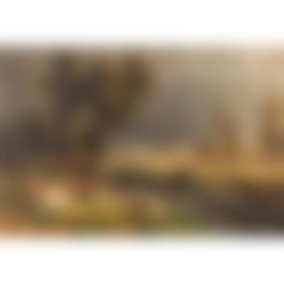 Herzele (preview)