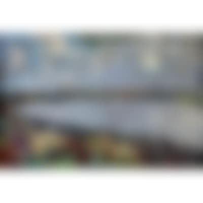 The river Scheldt. (preview)