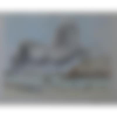 Untitled. (preview)