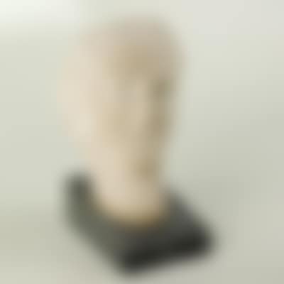 Woman"s head (preview)