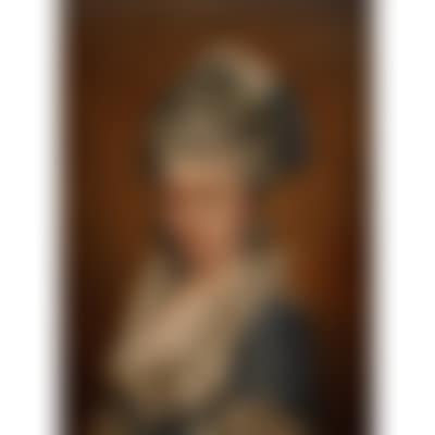 Portrait of a lady (preview)