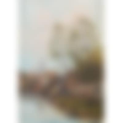 Village view with women doing laundry by the water (preview)