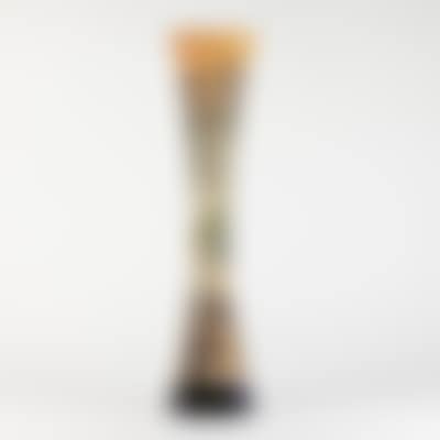 A French acid-etched cameo glass vase (preview)