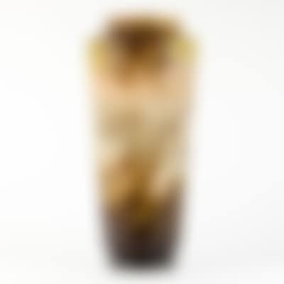 A French acid-etched cameo glass vase (preview)