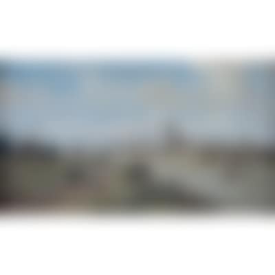View of the Antwerp right bank (preview)