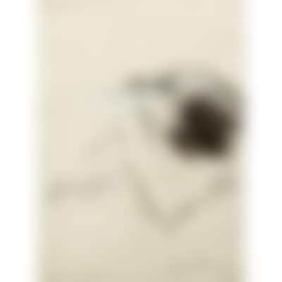 Untitled (preview)