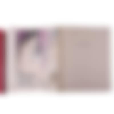 "Les Rideaux Mauves" (preview)